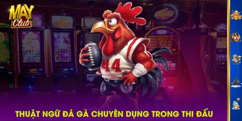 Thuật ngữ đá gà chuyên dụng trong thi đấu Thuật ngữ đá gà chuyên dụng trong thi đấu