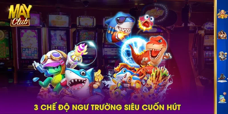 3 chế độ ngư trường siêu cuốn hút 3 chế độ ngư trường siêu cuốn hút