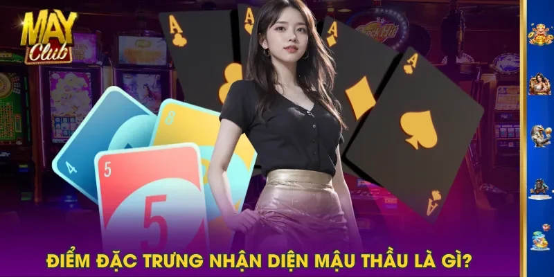 Điểm đặc trưng nhận diện Mậu Thầu là gì? Điểm đặc trưng nhận diện Mậu Thầu là gì?