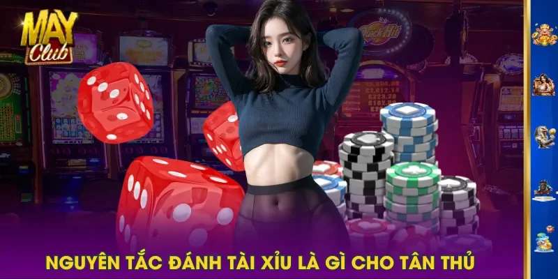 Nguyên tắc đánh Tài Xỉu là gì cho tân thủ Nguyên tắc đánh Tài Xỉu là gì cho tân thủ