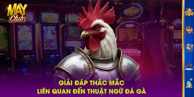 Giải đáp thắc mắc liên quan đến thuật ngữ đá gà Giải đáp thắc mắc liên quan đến thuật ngữ đá gà